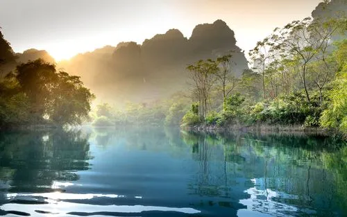 绿色电子科技